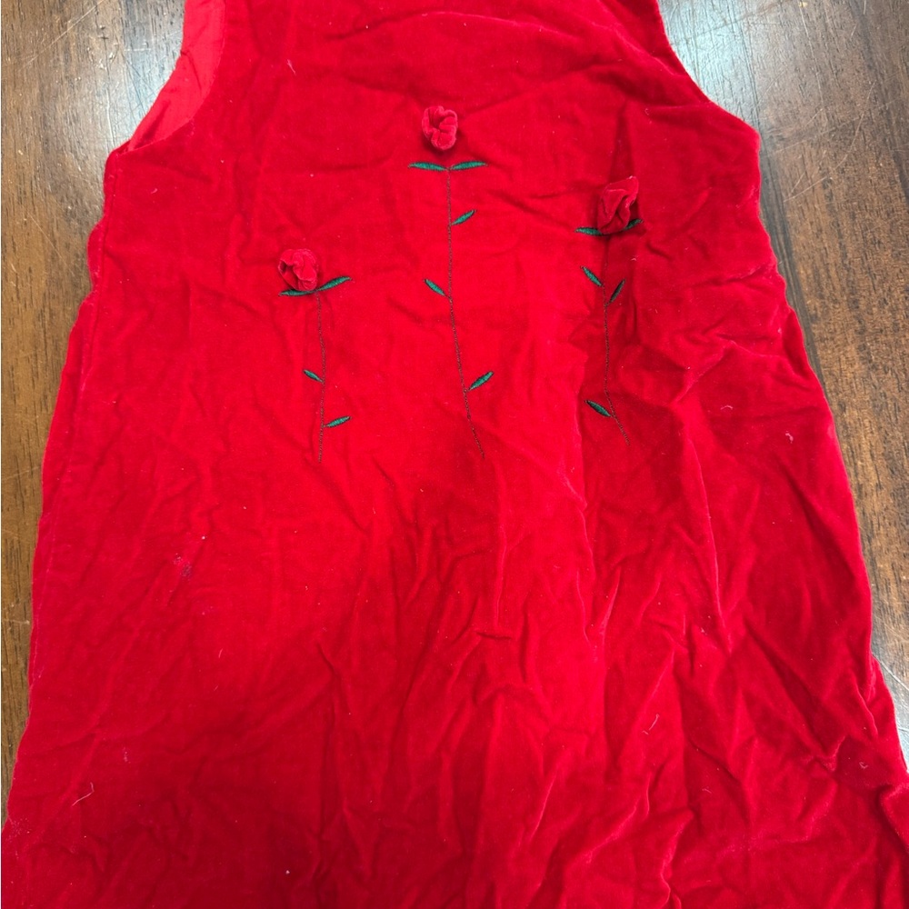 Red Sleeveless Dress with Floral Embroidery